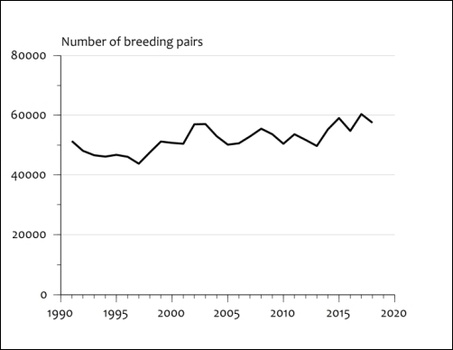 Number of breeding pairs of the Sandwich Tern (Sterna sandvicensis) in the North Atlantic population, 1991-2018