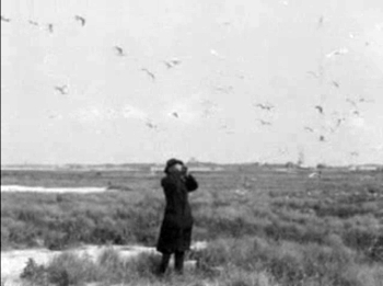 Still Polygoonjournaal