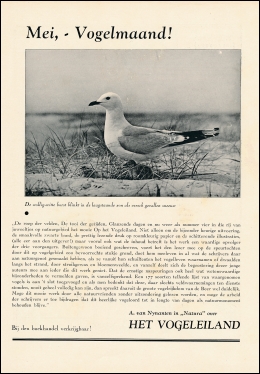 Aanprijzing Het Vogeleiland