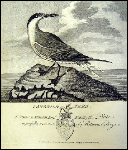 1792, Boys, Collections for an history of Sandwich in Kent (Archive.org), Canterbury