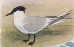 1937, Binsbergen & Mooij, Zien is kennen, Laren