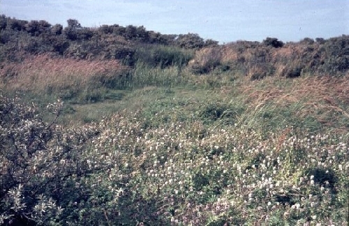 Gebied ten westen van het Breed