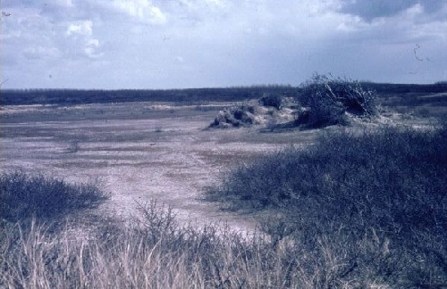 Pad naar de Schelpenvlakte