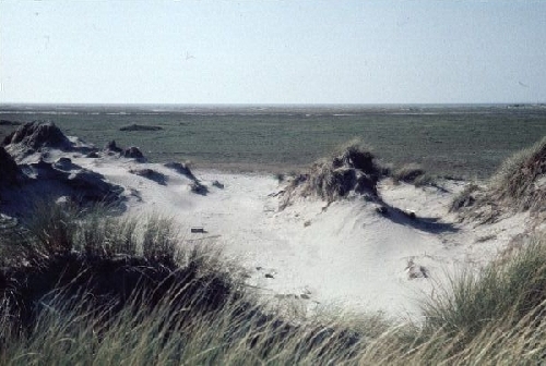 Zicht op het Groene Strand