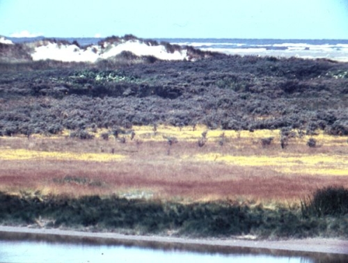 Zicht vanaf het zuidelijk deel van de Chinese Muur in de richting van de Kemphanenwei