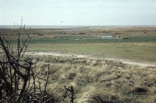 Zicht vanaf de Chinese Muur op het zuidelijke krekengebied