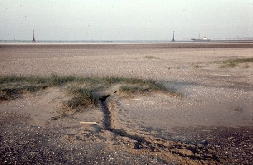 Het noordelijk deel van het Groene Strand