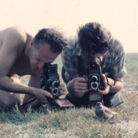 Morinelplevier op het Groene Strand