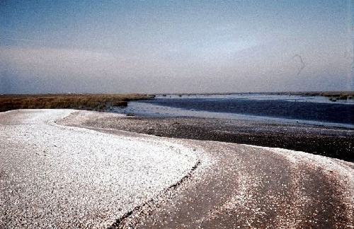 Zuidwestelijk deel van het strand met slijkgeul